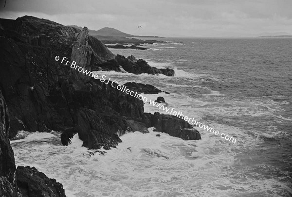 ATLANTIC DRIVE COASTAL SCENE